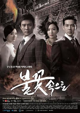 辽宁专业的网站推广优化