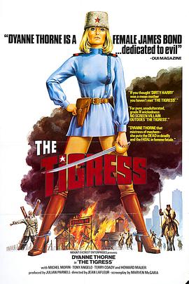 网络seo优化备案